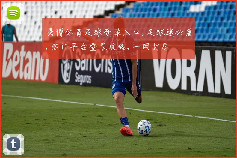 易博体育足球登录入口,足球迷必看,热门平台登录攻略,一网打尽