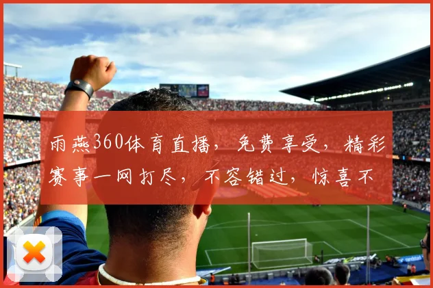 雨燕360体育直播，免费享受，精彩赛事一网打尽，不容错过，惊喜不断，敬请期待