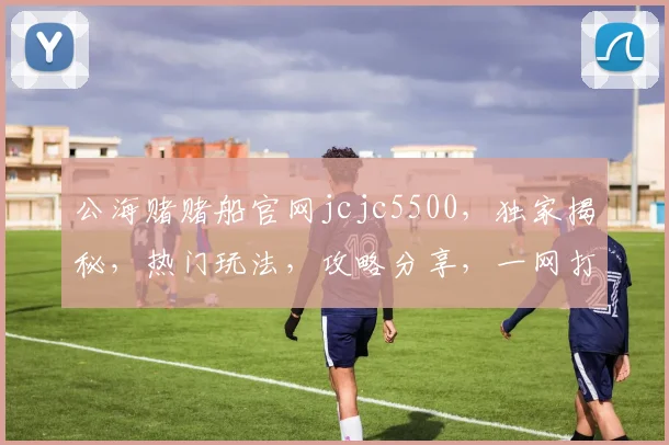 公海赌赌船官网jcjc5500，独家揭秘，热门玩法，攻略分享，一网打尽